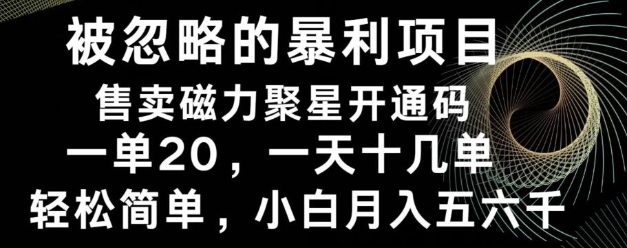 被忽略的暴利项目！售卖磁力聚星开通码，一单20，一天十几单，轻松月入五六千-kk网创