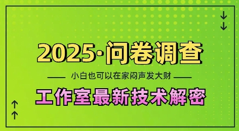 2025问卷调查最新工作室技术解密：一个人在家也可以闷声发大财，小白一天2张，可矩阵放大【揭秘】-kk网创