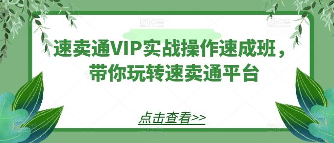 速卖通VIP实战操作速成班，带你玩转速卖通平台-kk网创
