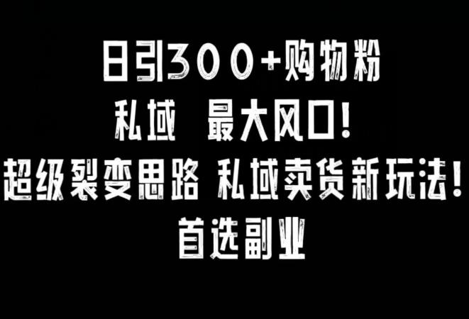 日引300+购物粉，超级裂变思路，私域卖货新玩法，小红书首选副业【揭秘】-kk网创