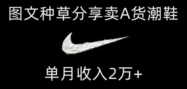 靠图文种草分享卖A货潮鞋，每天一小时，单月收入2万+【揭秘】-kk网创