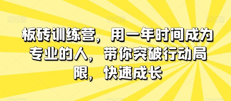 板砖训练营，用一年时间成为专业的人，带你突破行动局限，快速成长-kk网创