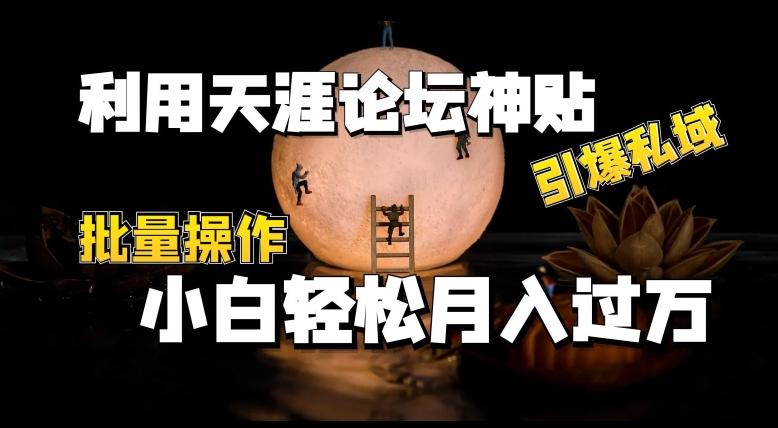 利用天涯论坛神贴，引爆私域，批量操作，小白轻松月入过w【揭秘】-kk网创