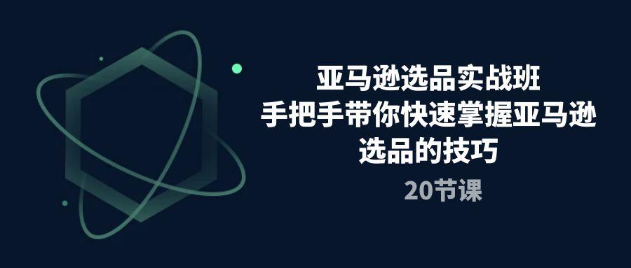 亚马逊选品实战班，手把手带你快速掌握亚马逊选品的技巧(20节课-kk网创