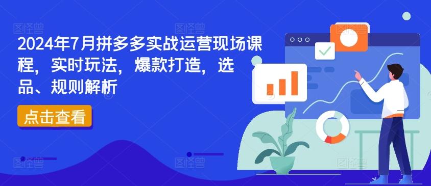 2024年7月拼多多实战运营现场课程，实时玩法，爆款打造，选品、规则解析-kk网创
