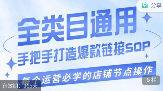 单品爆款打造实操运营，单品爆款从“0”-“1”手把手演练运营步骤-kk网创