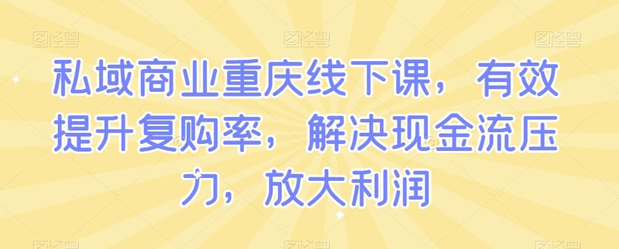 私域商业重庆线下课，有效提升复购率，解决现金流压力，放大利润-kk网创