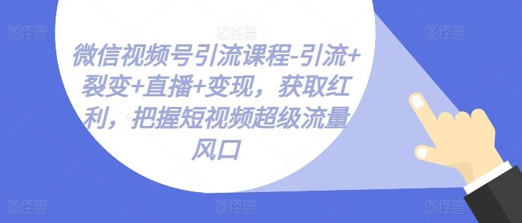 微信视频号引流课程-引流+裂变+直播+变现，获取红利，把握短视频超级流量风口-kk网创