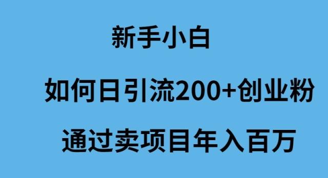 (9668期)新手小白如何日引流200+创业粉通过卖项目年入百万-kk网创