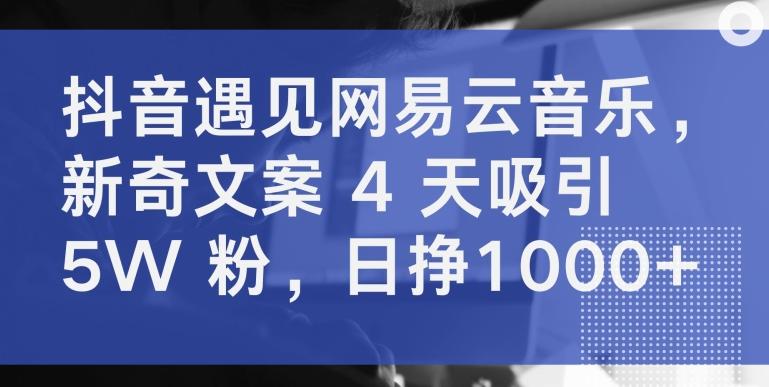 抖音遇见网易云音乐，新奇文案 4 天吸引 5W 粉，日挣1000+【揭秘】-kk网创