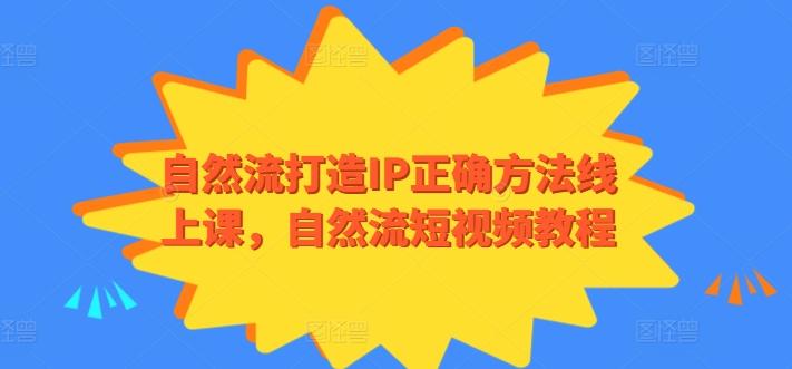 自然流打造IP正确方法线上课，自然流短视频教程-kk网创