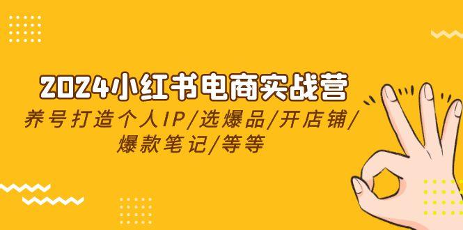 2024小红书电商实战营，养号打造IP/选爆品/开店铺/爆款笔记/等等(24节)-kk网创