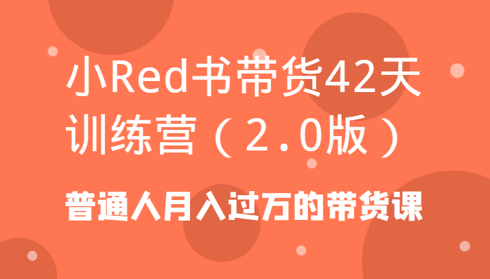 小Red书带货42天训练营(2.0版)普通人月入过万的带货课-kk网创