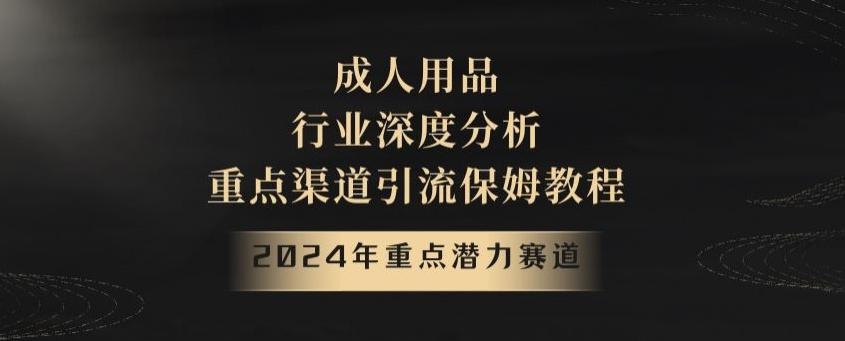 2024年重点潜力赛道，成人用品行业深度分析，重点渠道引流保姆教程【揭秘】-kk网创