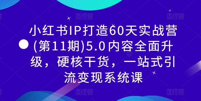 小红书IP打造60天实战营(第11期)5.0​内容全面升级，硬核干货，一站式引流变现系统课-kk网创