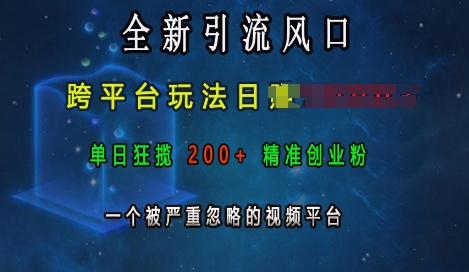 全新引流风口，跨平台玩法日入上k，单日狂揽200+精准创业粉，一个被严重忽略的视频平台-kk网创