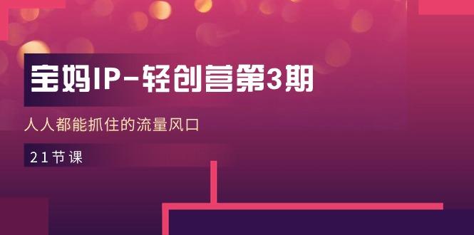 宝妈IP-轻创营第3期，人人都能抓住的流量风口(21节课-kk网创