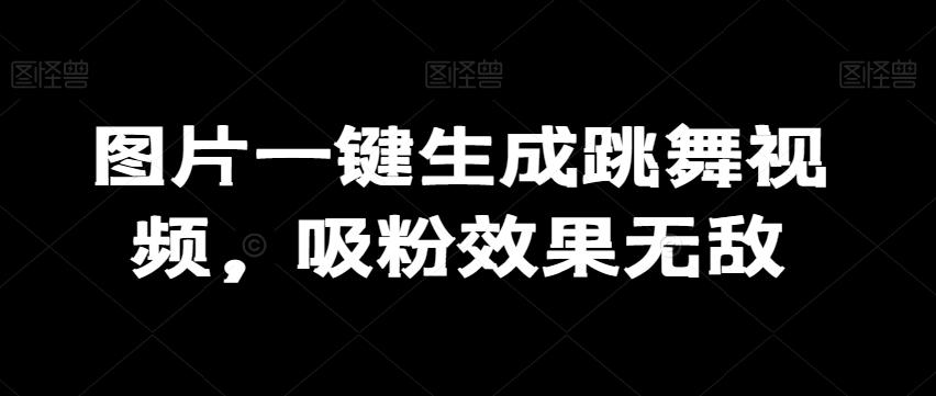 图片一键生成跳舞视频，吸粉效果无敌-kk网创
