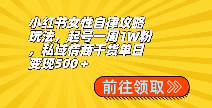 小红书女性自律攻略玩法，起号一周1W粉，私域情商干货单日变现500＋-kk网创