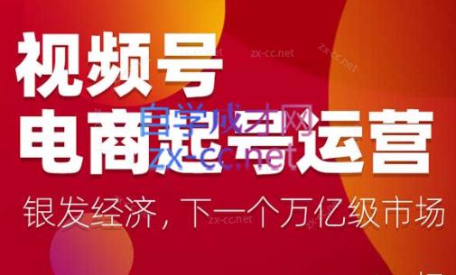 陈大黑牛·视频号电商起号运营课(更新到24年5月)-kk网创