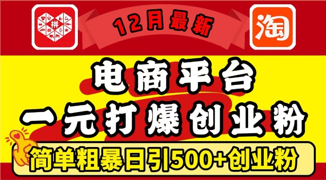 12月最新：电商平台1元打爆创业粉，简单粗暴日引500+精准创业粉，轻松月入过W【揭秘】-kk网创