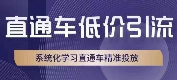 直通车低价引流课，系统化学习直通车精准投放-kk网创