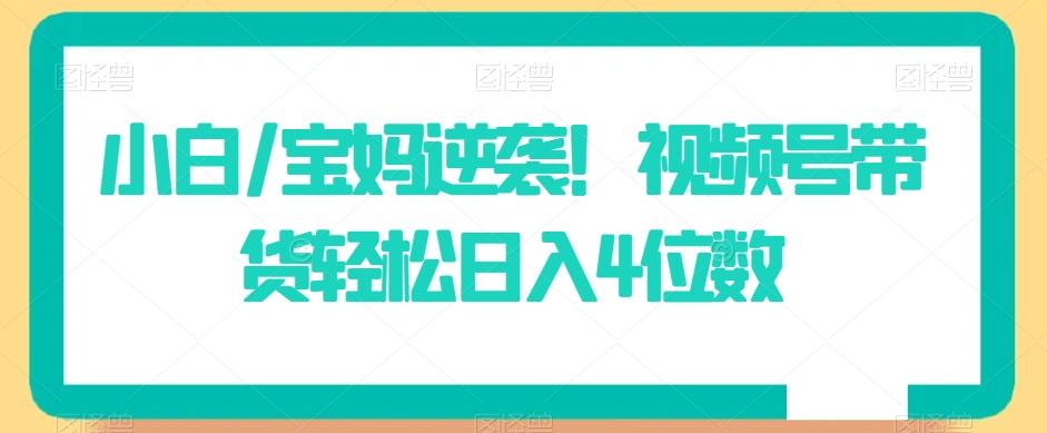 小白/宝妈逆袭！视频号带货轻松日入4位数【揭秘】-kk网创