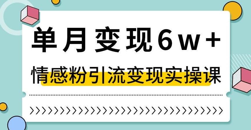 单月变现6W+，抖音情感粉引流变现实操课，小白可做，轻松上手，独家赛道【揭秘】-kk网创