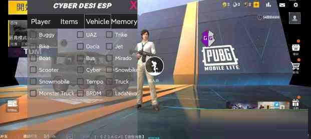 PUBG轻量老外裸奔绘制+自瞄 支持ROOT和框架 里面有全局离线-kk网创