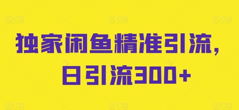 独家闲鱼精准引流，日引流300+【揭秘】-kk网创