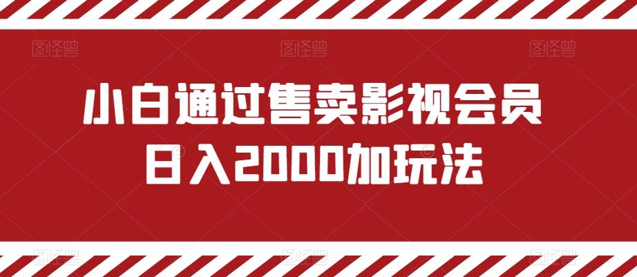 小白通过售卖影视会员日入2000加玩法-kk网创
