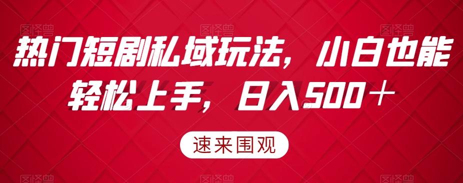 热门短剧私域玩法，小白也能轻松上手，日入500＋-kk网创