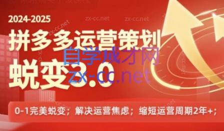 大力老师·2024拼多多运营策略蜕变3.0-kk网创