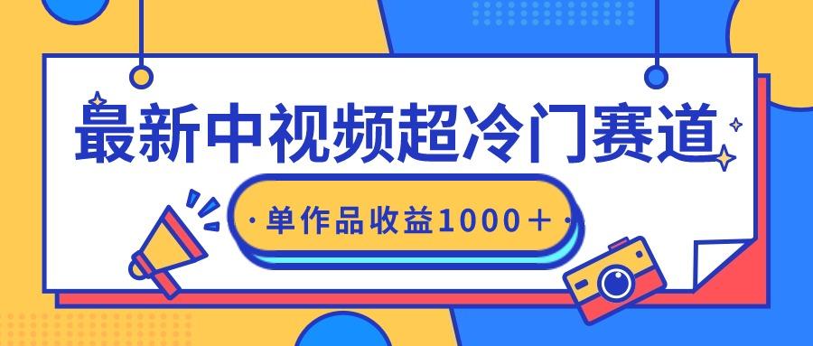 (9275期)最新中视频超冷门赛道，轻松过原创，单条视频收益1000＋-kk网创