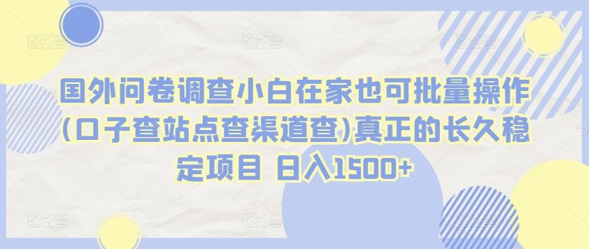 国外问卷调查小白在家也可批量操作(口子查站点查渠道查)真正的长久稳定项目 日入1500+【揭秘】-kk网创