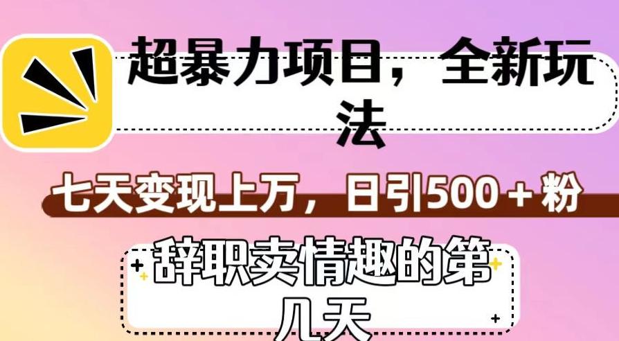 超暴利项目，全新玩法（辞职卖情趣的第几天），七天变现上万，日引500+粉【揭秘】-kk网创