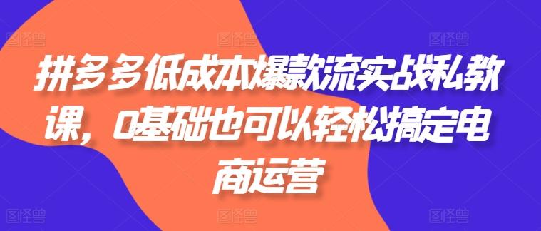拼多多低成本爆款流实战私教课，0基础也可以轻松搞定电商运营-kk网创