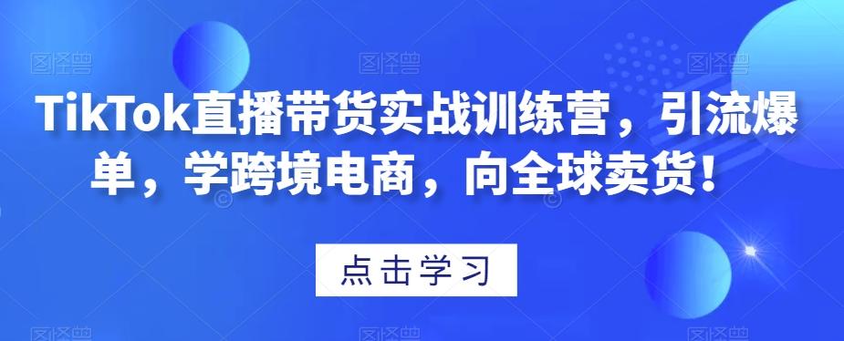 TikTok直播带货实战训练营，引流爆单，学跨境电商，向全球卖货！-kk网创