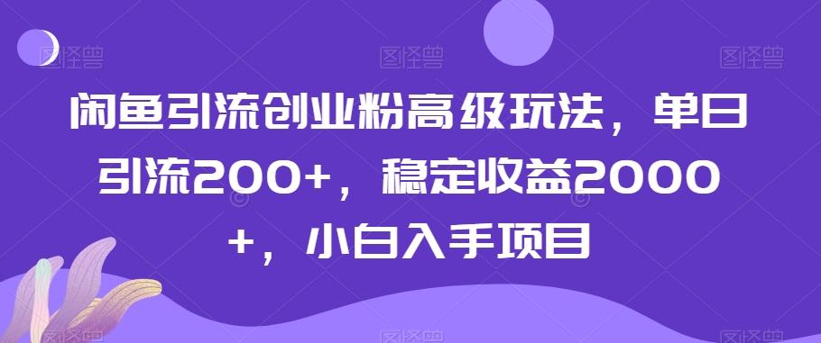 闲鱼引流创业粉高级玩法，单日引流200+，稳定收益2000+，小白入手项目-kk网创