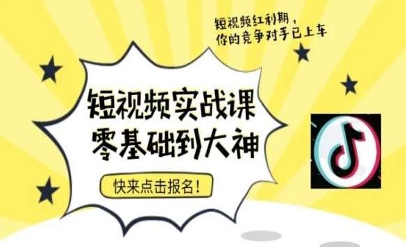 短视频零基础落地实操训练营，短视频实战课零基础到大神-kk网创