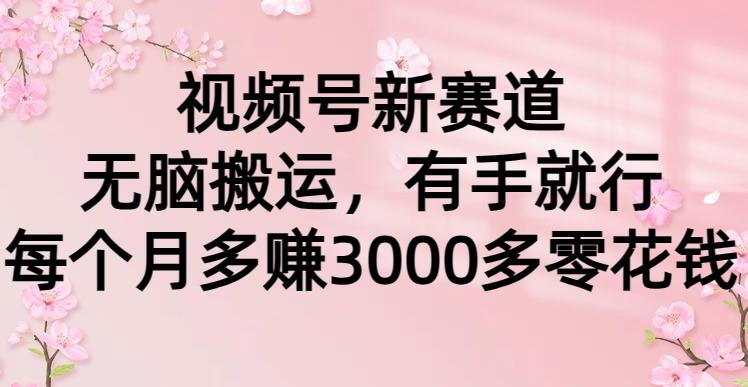 (9278期)视频号新赛道，无脑搬运，有手就行，每个月多赚3000多零花钱-kk网创