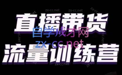 婉婉·直播带货课程系列合集(更新8月)-kk网创