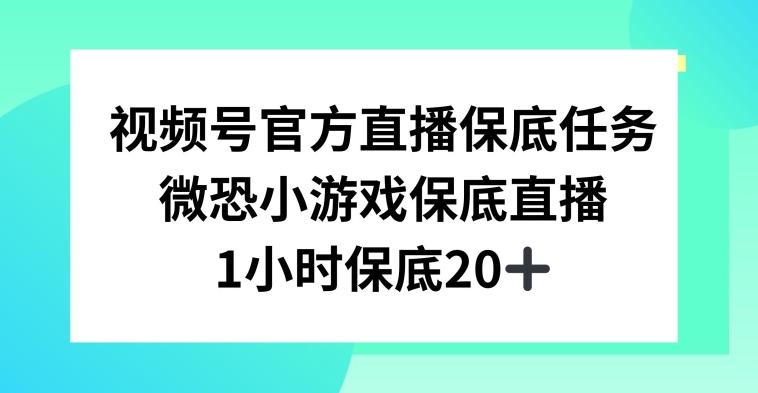 视频号直播任务，微恐小游戏，1小时20+【揭秘】-kk网创