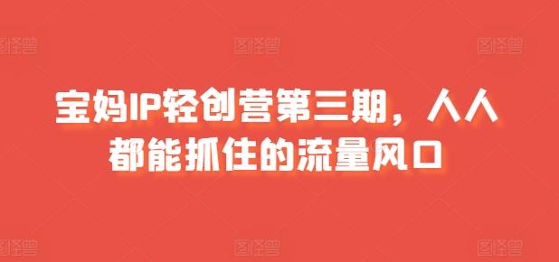 宝妈IP轻创营第三期，人人都能抓住的流量风口-kk网创