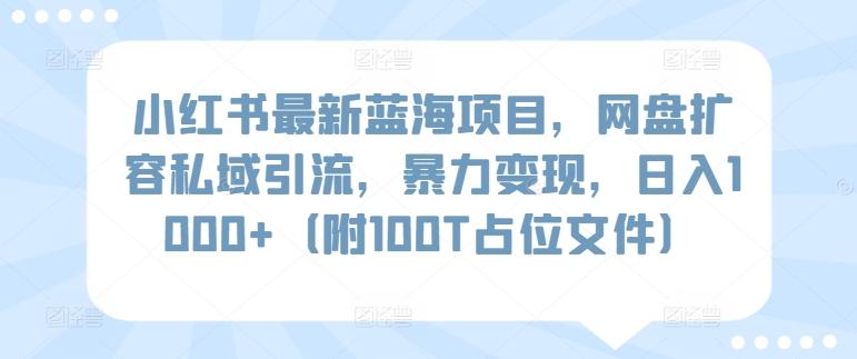 小红书最新蓝海项目，网盘扩容私域引流，暴力变现，日入1000+(附100T占位文件)【揭秘】-kk网创