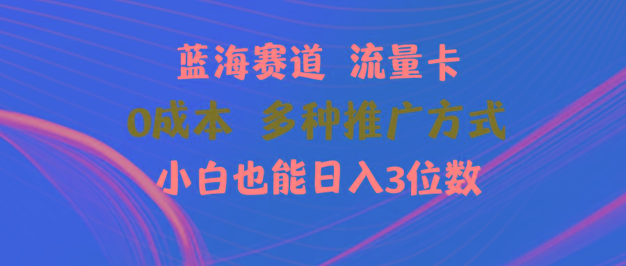 蓝海赛道 流量卡 0成本 小白也能日入三位数-kk网创