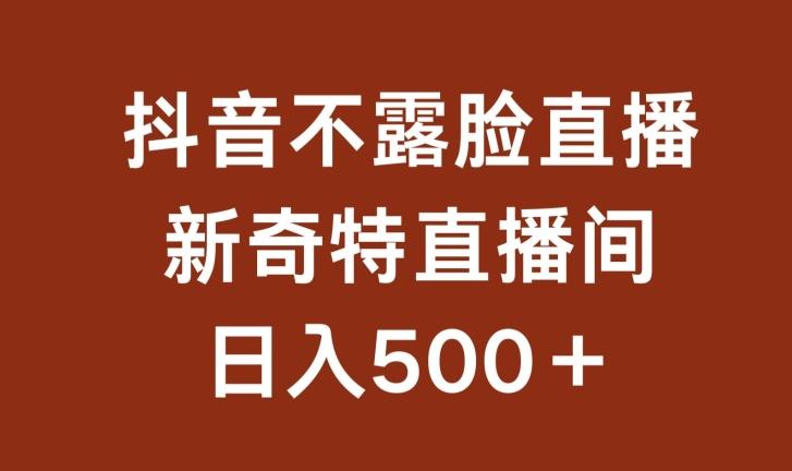 不露脸挂机直播，新奇特直播间，日入500+【揭秘】-kk网创