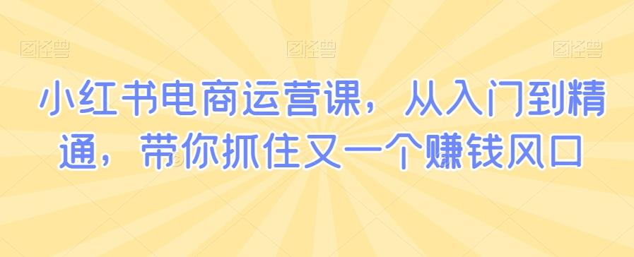 小红书电商运营课，从入门到精通，带你抓住又一个赚钱风口-kk网创