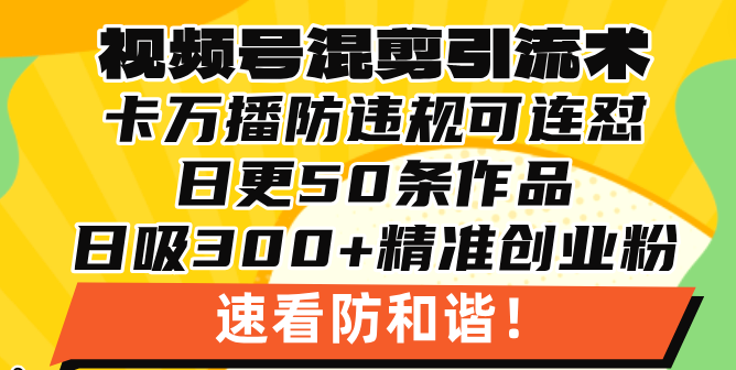 视频号混剪引流技术，500万播放引流17000创业粉，操作简单当天学会-kk网创