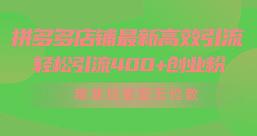 (10041期)拼多多店铺最新高效引流术，轻松引流400+创业粉，精准日变现五位数！-kk网创